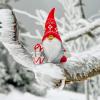 Clubabend am Christkindlmarkt 